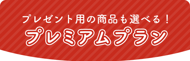 撮影・お写真選びの後にお参りできる!シンプルプラン