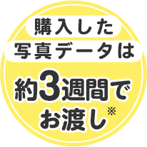 購入したデータは約三週間でお渡し