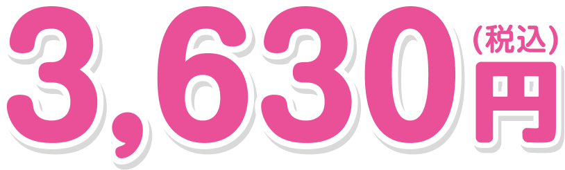 3,630円(税込)