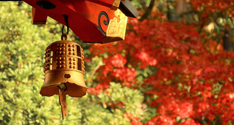 七五三の日に参拝するまでの流れは?