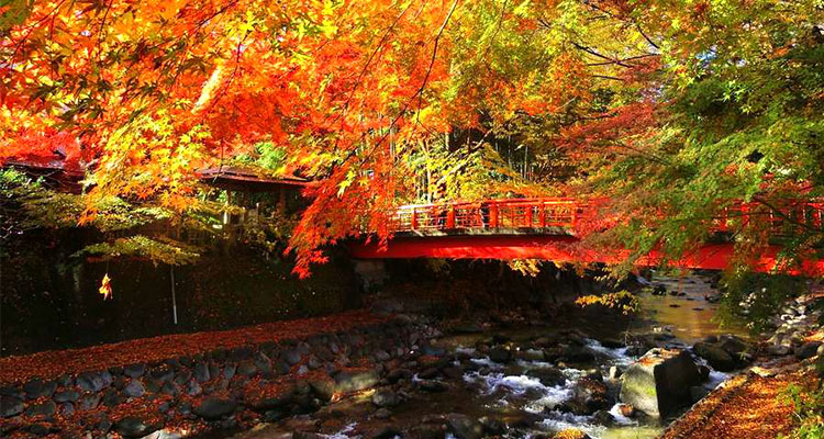 「七五三 後撮り」はいつまで？魅力と12月の七五三を成功させる秘訣