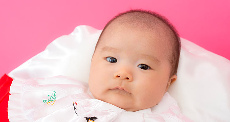 参拝先が決まったら|写真撮影はスタジオマリオで!