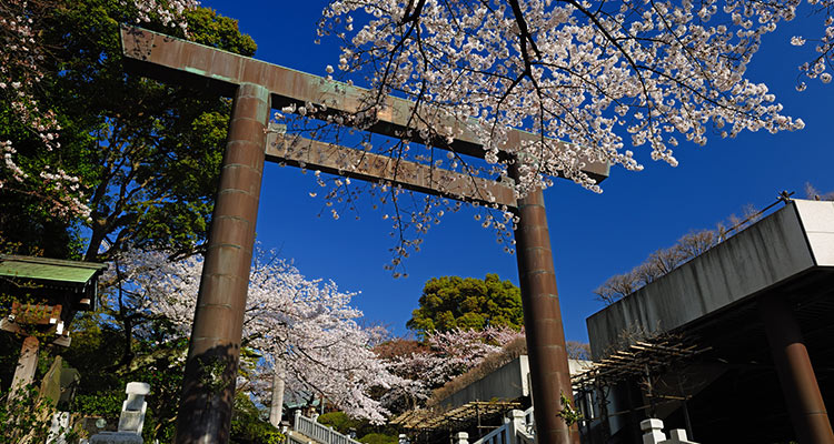 【横浜10社】お宮参りにおすすめの神社は？