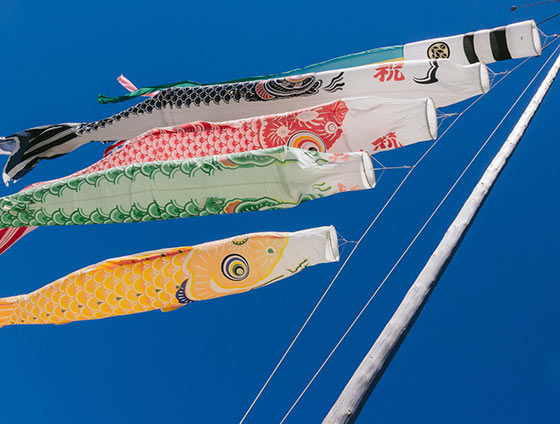 鯉のぼりの選び方